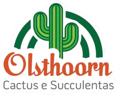 Logo Olsthoorn (500 x 400)